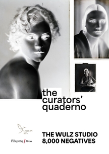 The Curators’ Quaderno - The Wulz Studio 8000 Negatives