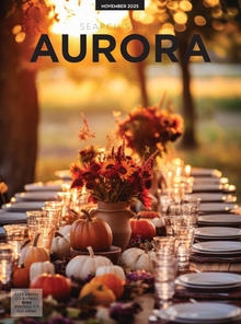 Search South Aurora November 2025