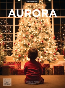 Search South Aurora December 2025