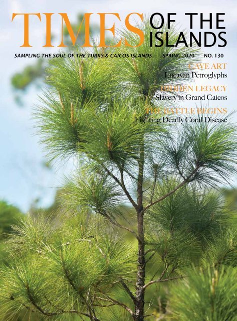 Cover of Times of the Islands magazine