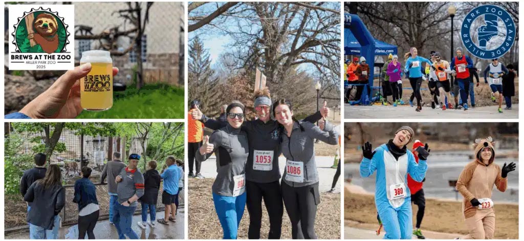 More information about the Miller Park Zoo case study