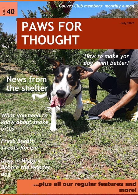 Cover of Paws for Thought epaper