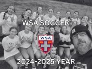 WSA LEAGUE INFO MANAGERS 